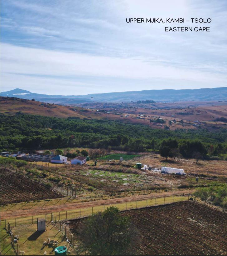 STN Group Eastern Cape